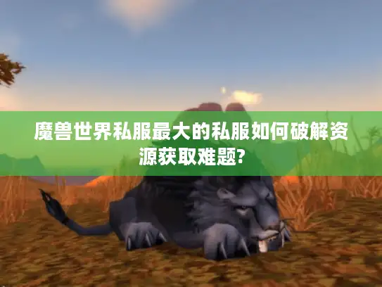 魔兽世界私服最大的私服如何破解资源获取难题? 魔兽世界私服最大的私服如何破解资源获取难题?