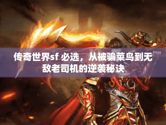 传奇世界sf 必选，从被骗菜鸟到无敌老司机的逆袭秘诀