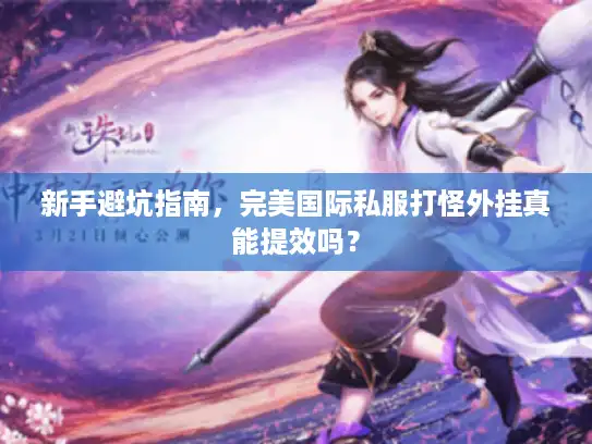新手避坑指南，完美国际私服打怪外挂真能提效吗？