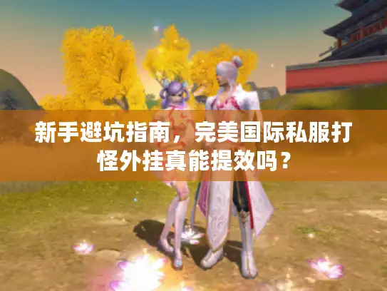 新手避坑指南，完美国际私服打怪外挂真能提效吗？