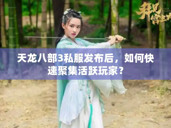 天龙八部3私服发布后,如何快速聚集活跃玩家? 天龙八部3私服发布后,如何快速聚集活跃玩家?