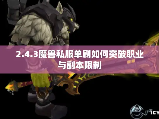 2.4.3魔兽私服单刷如何突破职业与副本限制
