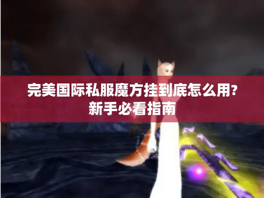 完美国际私服魔方挂到底怎么用?新手必看指南