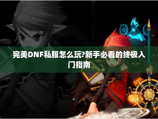 完美DNF私服怎么玩?新手必看的终极入门指南