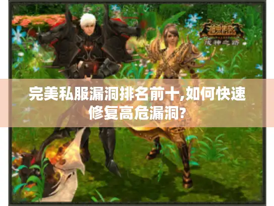 完美私服漏洞排名前十,如何快速修复高危漏洞?