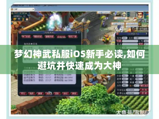 梦幻神武私服iOS新手必读,如何避坑并快速成为大神