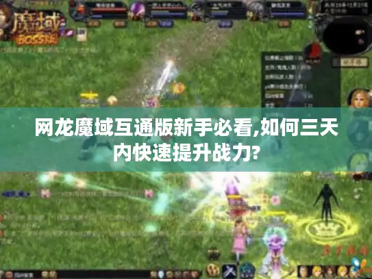 网龙魔域互通版新手必看,如何三天内快速提升战力?