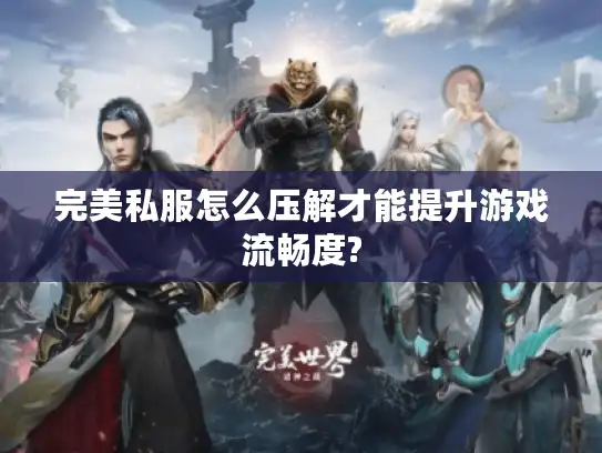 完美私服怎么压解才能提升游戏流畅度?