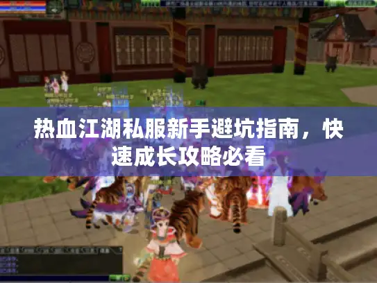 热血江湖私服新手避坑指南，快速成长攻略必看