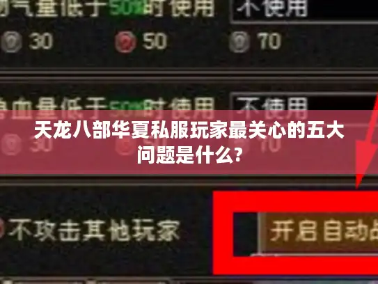 天龙八部华夏私服玩家最关心的五大问题是什么?