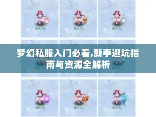 梦幻私服入门必看,新手避坑指南与资源全解析