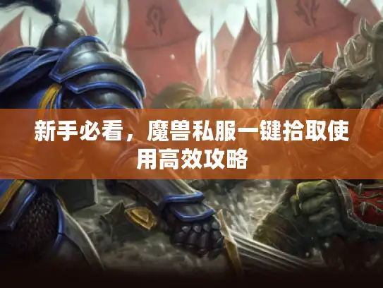 新手必看，魔兽私服一键拾取使用高效攻略