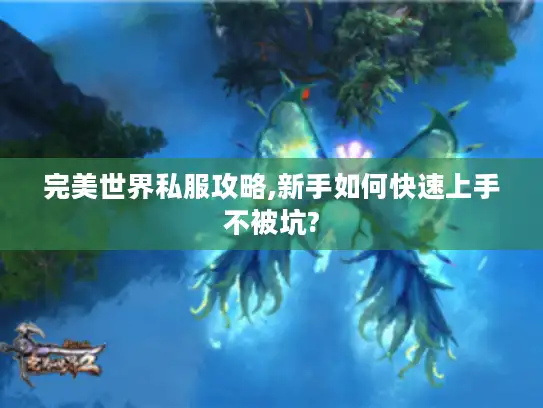 完美世界私服攻略,新手如何快速上手不被坑?