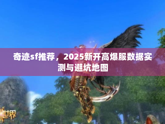 奇迹sf推荐，2025新开高爆服数据实测与避坑地图