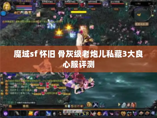 魔域sf 怀旧 骨灰级老炮儿私藏3大良心服评测