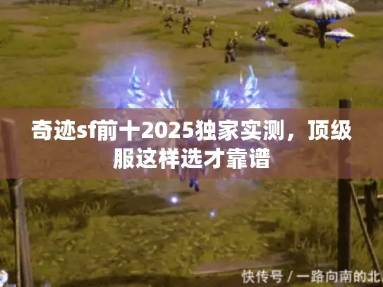 奇迹sf前十2025独家实测，顶级服这样选才靠谱