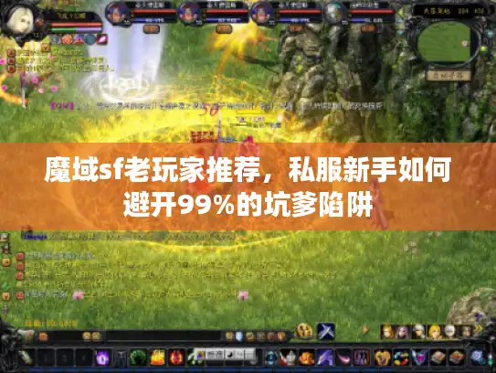 魔域sf老玩家推荐，私服新手如何避开99%的坑爹陷阱