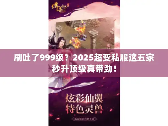 刷吐了999级?2025超变私服这五家秒升顶级真带劲! 刷吐了999级?2025超变私服这五家秒升顶级真带劲!