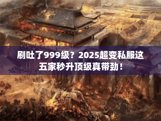 刷吐了999级?2025超变私服这五家秒升顶级真带劲! 刷吐了999级?2025超变私服这五家秒升顶级真带劲!