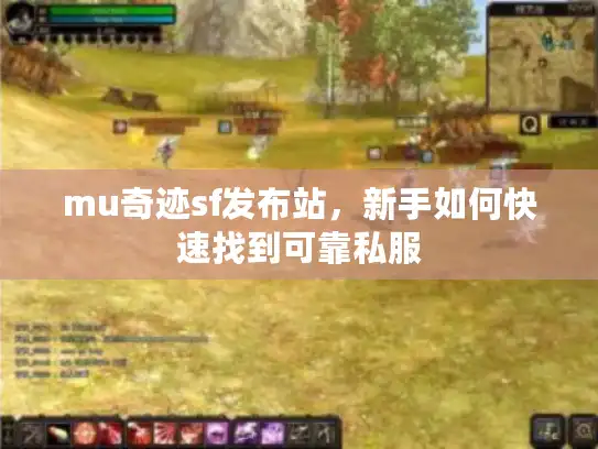 mu奇迹sf发布站，新手如何快速找到可靠私服