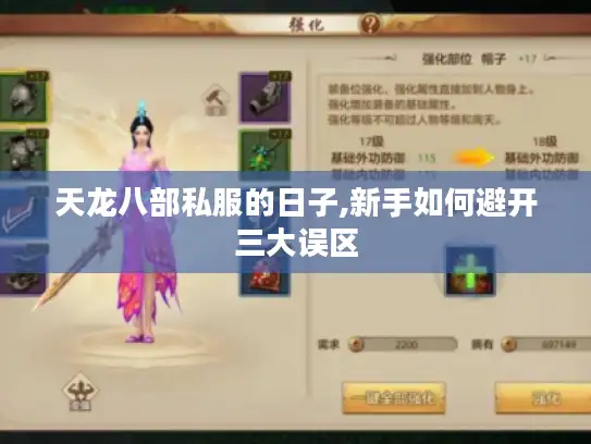 天龙八部私服的日子,新手如何避开三大误区 天龙八部私服的日子,新手如何避开三大误区