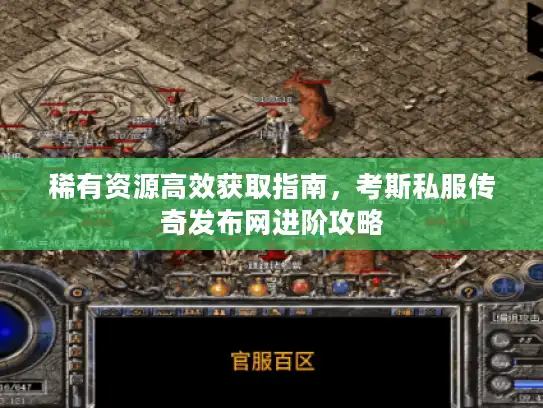 稀有资源高效获取指南，考斯私服传奇发布网进阶攻略