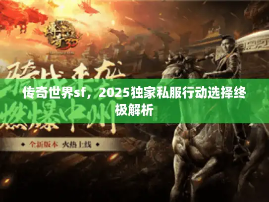 传奇世界sf，2025独家私服行动选择终极解析