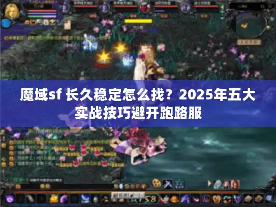 魔域sf 长久稳定怎么找？2025年五大实战技巧避开跑路服