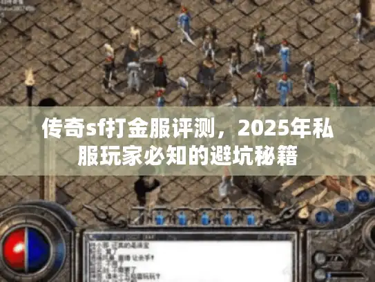 传奇sf打金服评测，2025年私服玩家必知的避坑秘籍