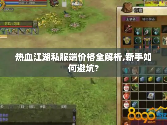 热血江湖私服端价格全解析,新手如何避坑?