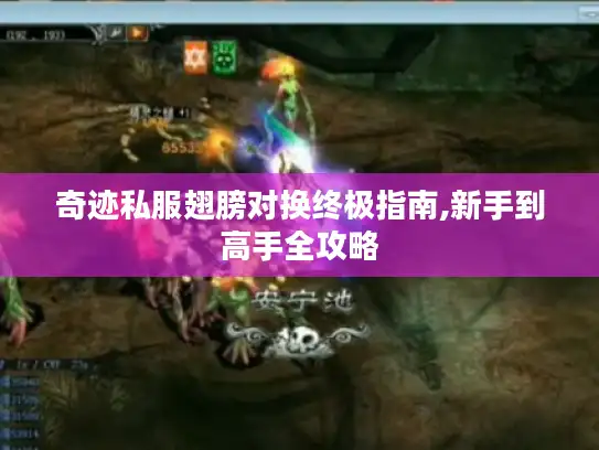 奇迹私服翅膀对换终极指南,新手到高手全攻略