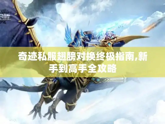 奇迹私服翅膀对换终极指南,新手到高手全攻略