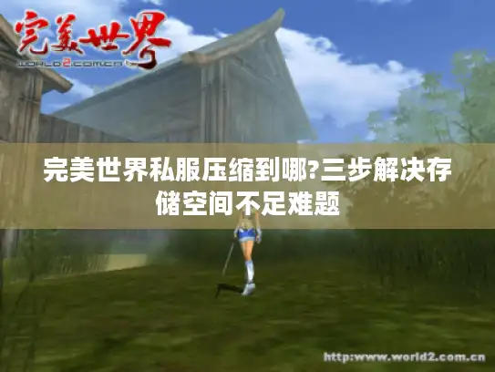 完美世界私服压缩到哪?三步解决存储空间不足难题