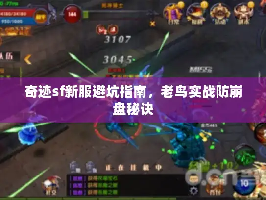 奇迹sf新服避坑指南，老鸟实战防崩盘秘诀