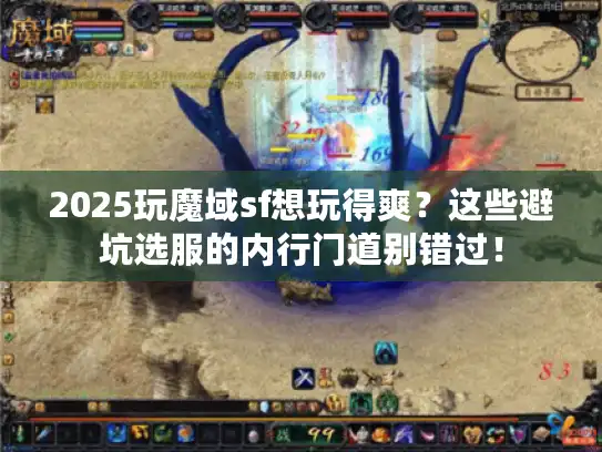2025玩魔域sf想玩得爽？这些避坑选服的内行门道别错过！
