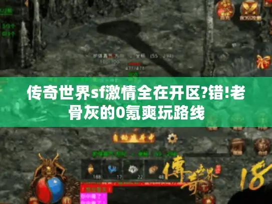 传奇世界sf激情全在开区?错!老骨灰的0氪爽玩路线