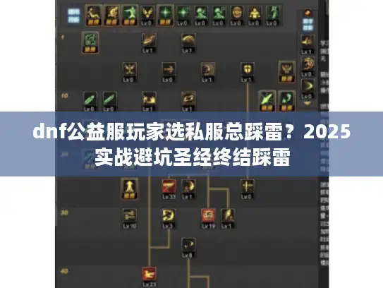 dnf公益服玩家选私服总踩雷？2025实战避坑圣经终结踩雷