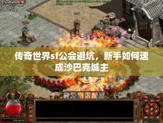 传奇世界sf公会避坑，新手如何速成沙巴克城主
