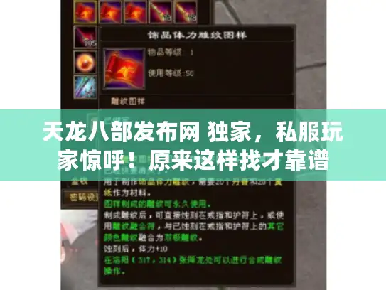天龙八部发布网 独家，私服玩家惊呼！原来这样找才靠谱