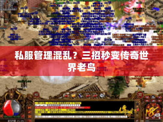 私服管理混乱?三招秒变传奇世界老鸟 私服管理混乱?三招秒变传奇世界老鸟