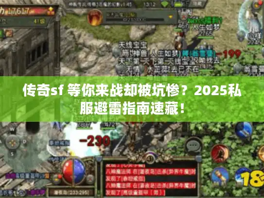 传奇sf 等你来战却被坑惨?2025私服避雷指南速藏! 传奇sf 等你来战却被坑惨?2025私服避雷指南速藏!