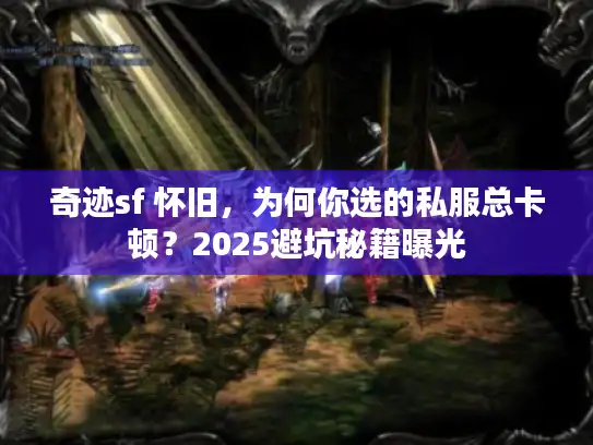 奇迹sf 怀旧，为何你选的私服总卡顿？2025避坑秘籍曝光