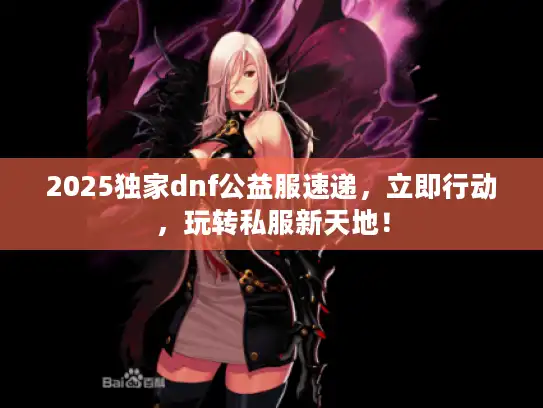 2025独家dnf公益服速递，立即行动，玩转私服新天地！