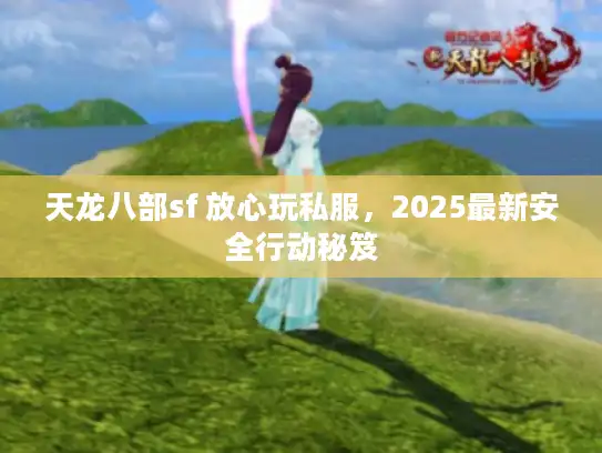 天龙八部sf 放心玩私服，2025最新安全行动秘笈
