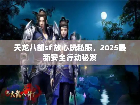 天龙八部sf 放心玩私服，2025最新安全行动秘笈