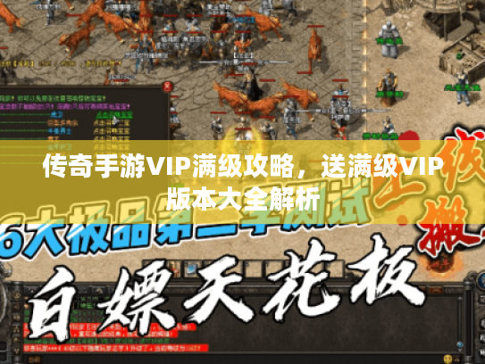 传奇手游VIP满级攻略，送满级VIP版本大全解析