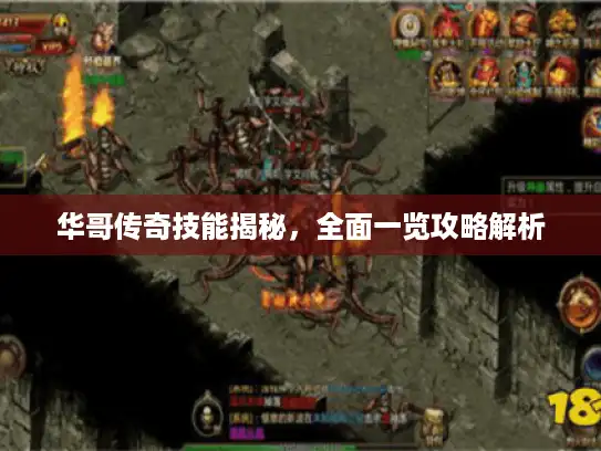 华哥传奇技能揭秘，全面一览攻略解析