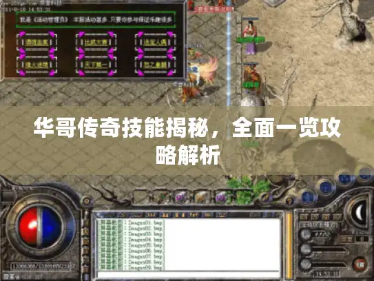 华哥传奇技能揭秘，全面一览攻略解析