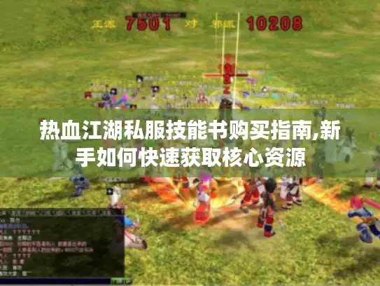 热血江湖私服技能书购买指南,新手如何快速获取核心资源