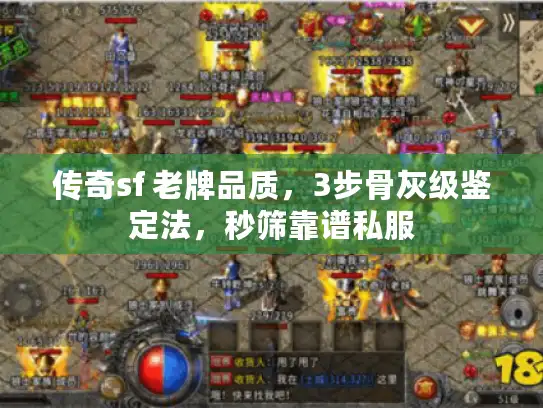 传奇sf 老牌品质，3步骨灰级鉴定法，秒筛靠谱私服